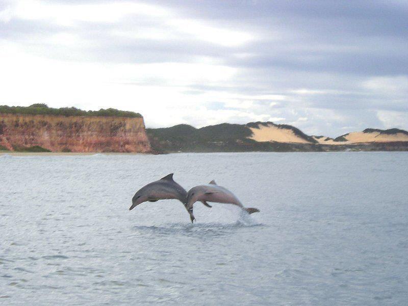Pousada Da Pipa Praia de Pipa Εξωτερικό φωτογραφία